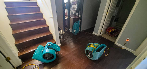 Best Professional water damage repair  in Dyer, IN