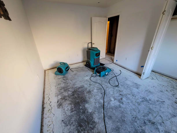 Best Mold removal after water damage  in Dyer, IN