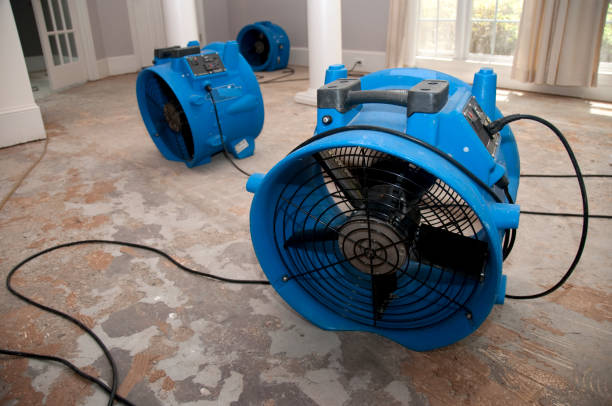 Professional Water damage restoration in Dyer, IN