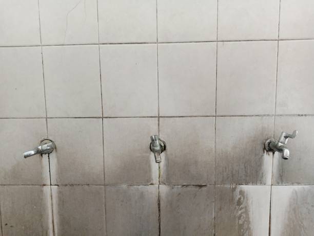Best Sewage cleanup and water damage restoration  in Dyer, IN
