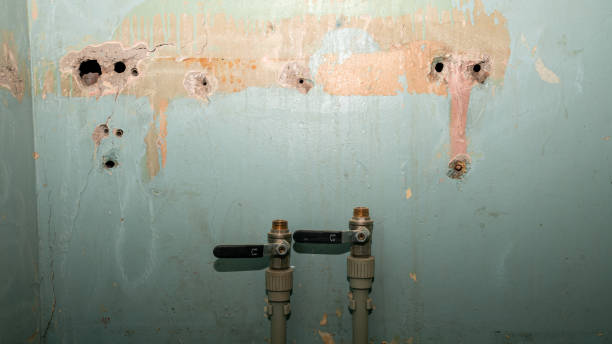 Best Flood restoration services  in Dyer, IN