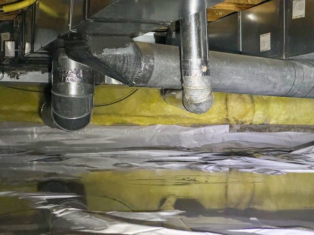 Best Sewage cleanup and water damage restoration  in Dyer, IN
