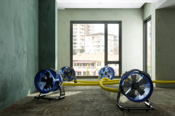 Best Ceiling water damage repair  in Dyer, IN