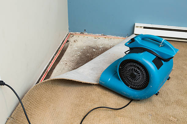 Best 24-hour water damage restoration  in Dyer, IN